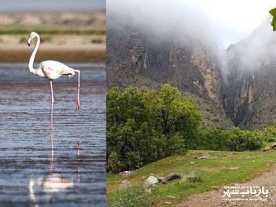 پرنده‌نگری تالاب هشیلان و پایگاه اطفاء حریق چالابه در انتظار بودجه