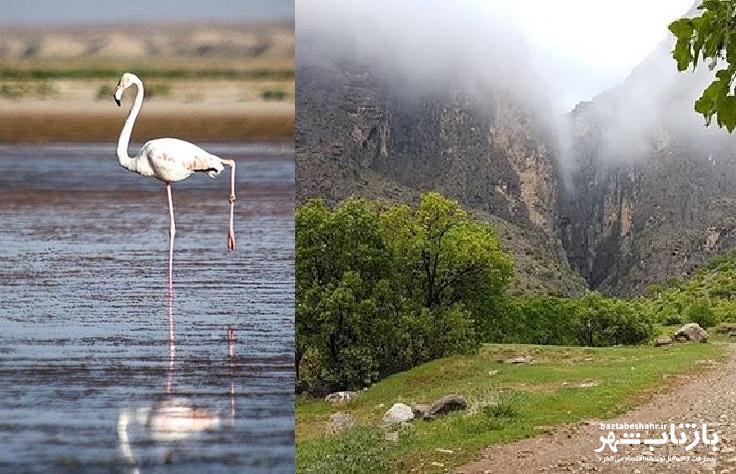 پرنده‌نگری تالاب هشیلان و پایگاه اطفاء حریق چالابه در انتظار بودجه