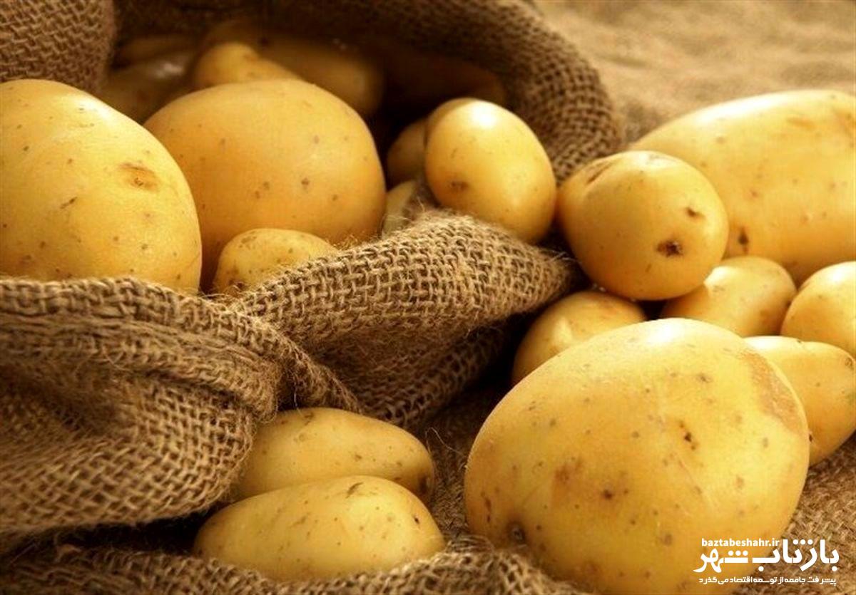 آغاز توزیع سیبزمینی با قیمت مصوب در کرمانشاه