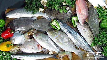 سرانه مصرف ماهی در کرمانشاه به بیش از ۱۰ کیلوگرم رسیده است