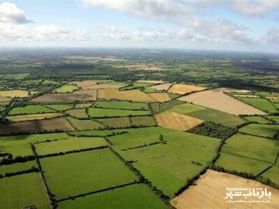 ۱۳ هکتار زمین کشاورزی کنگاور به چرخه تولید بازگشت