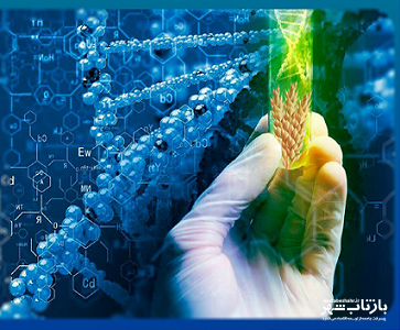 موفقیت “نشریه بیوتکنولوژی و بیوشیمی غلات” دانشگاه رازی در اخذ مجوز ISC