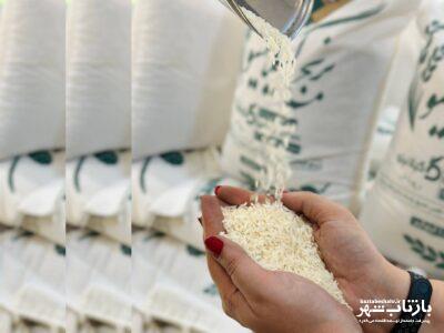 قیمت برنج ایرانی گران شد / قیمت برنج هاشمی، طارم، سرلاشه و هندی در اردیبهشت ۱۴۰۴