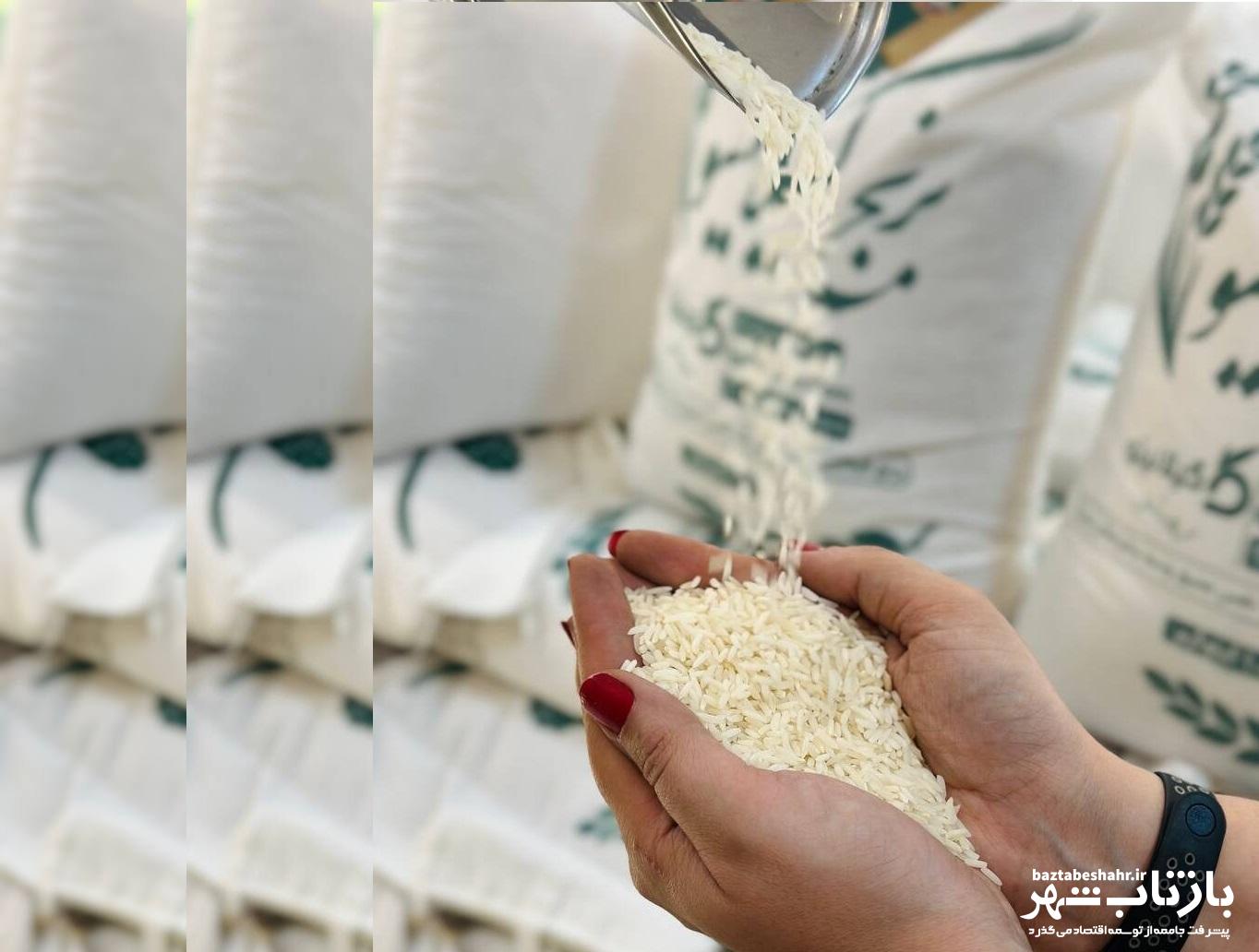 قیمت برنج ایرانی گران شد / قیمت برنج هاشمی، طارم، سرلاشه و هندی در اردیبهشت ۱۴۰۴