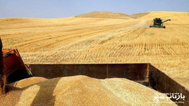 فعالیت ۲۰ مرکز خرید گندم درکرمانشاه